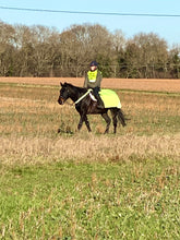 Load image into Gallery viewer, Elastic Breast band hi viz with clips (0ptional lights)