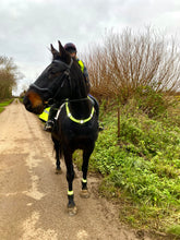 Load image into Gallery viewer, Elastic Breast band hi viz with clips (0ptional lights)