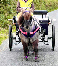 Load image into Gallery viewer, Elastic Breast band hi viz with clips (0ptional lights)