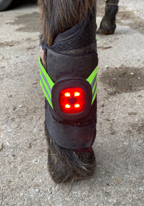 Light band - horse, rider or dog - red or white rechargeable LED light, 3 sizes, elasticated hi viz orange, yellow or pink