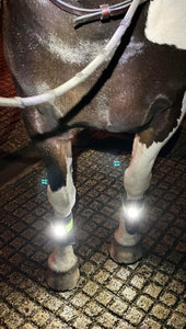Light band - horse, rider or dog - red or white LED light, 3 sizes, elasticated hi viz orange, yellow or pink