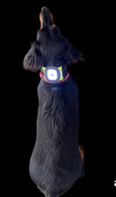 Load image into Gallery viewer, Light band - horse, rider or dog - red or white rechargeable LED light, 3 sizes, elasticated hi viz orange, yellow or pink
