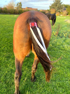Tail light with reflective streamers