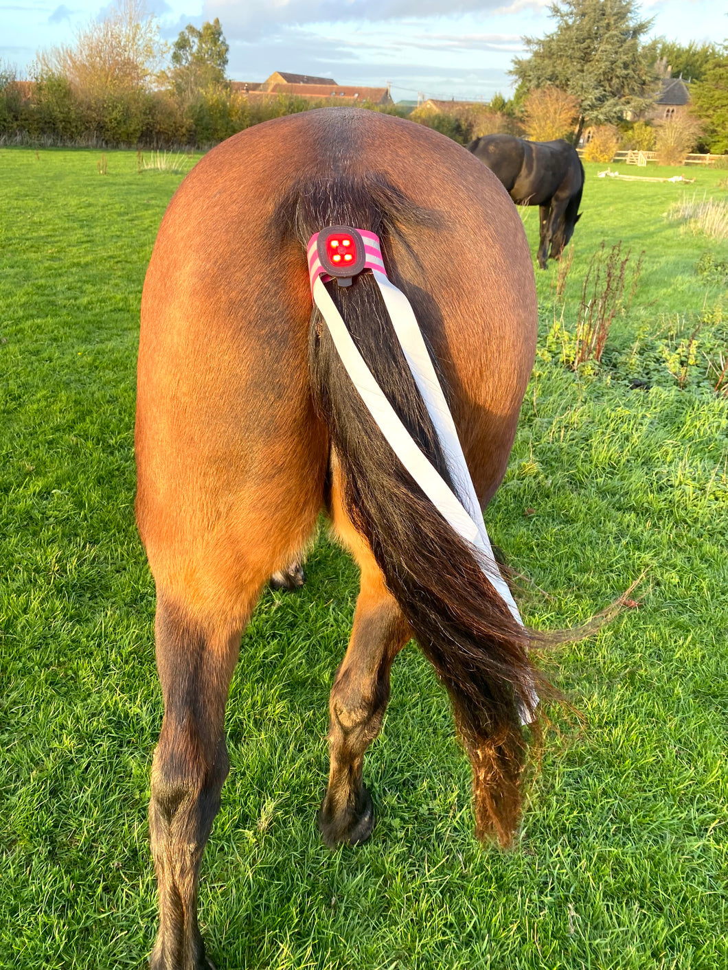 Tail light with reflective streamers