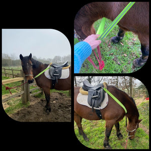 Breast band hi viz with clips