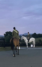 Load image into Gallery viewer, Pocket Hi Viz -  yellow or orange sash for you or your horse