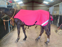 Load image into Gallery viewer, Waterproof WALKER RUGS - hi viz orange, hi viz yellow or pink.