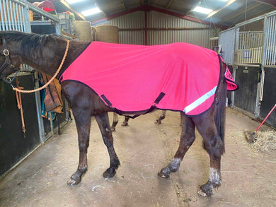 Waterproof WALKER RUGS - hi viz orange, hi viz yellow or pink.