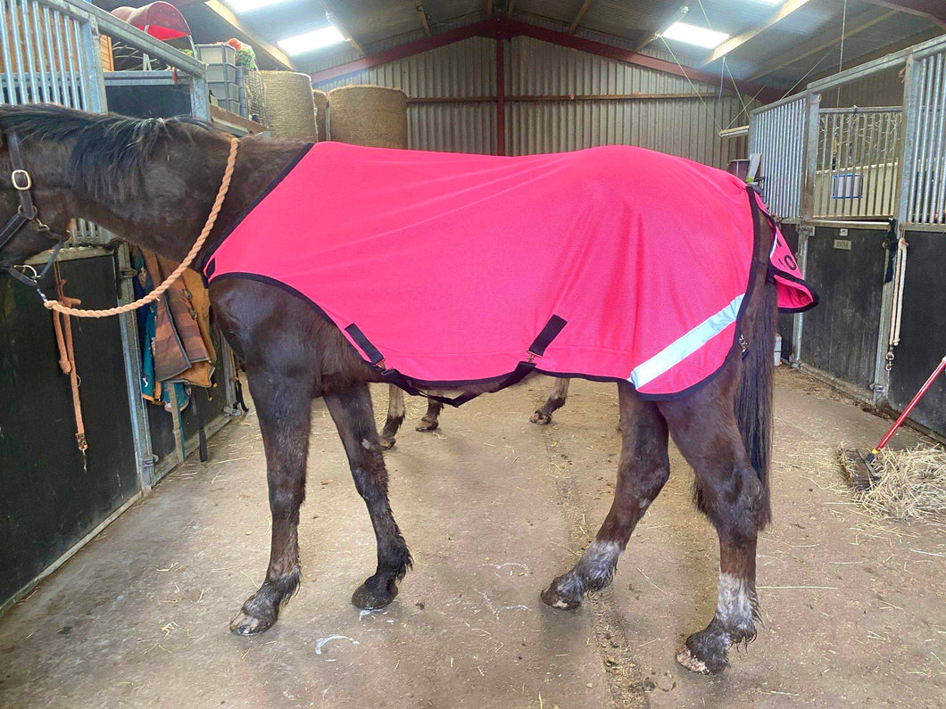 Waterproof WALKER RUGS - hi viz orange, hi viz yellow or pink.